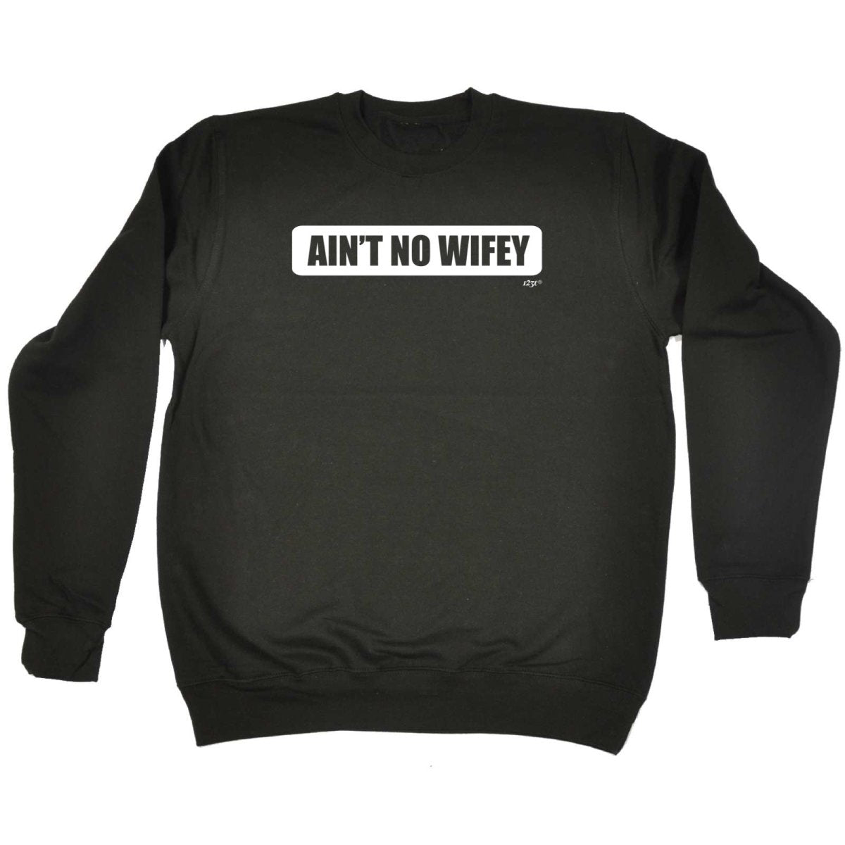 Aint No Wifey Wife - Funny Novelty Sweatshirt - 123t Australia | Funny T-Shirts Mugs Novelty Gifts