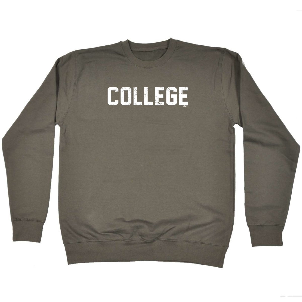 College - Funny Novelty Sweatshirt - 123t Australia | Funny T-Shirts Mugs Novelty Gifts