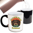 Life Is Better With Dashshunds Dogs Dog Pet Animal - Funny Colour Changing Mug