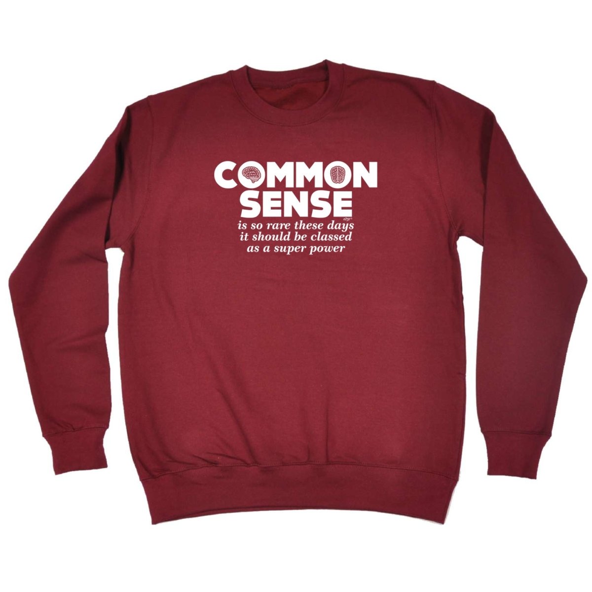 Common Sense Is So Rare - Funny Novelty Sweatshirt - 123t Australia | Funny T-Shirts Mugs Novelty Gifts