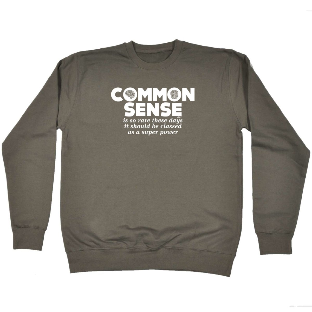 Common Sense Is So Rare - Funny Novelty Sweatshirt - 123t Australia | Funny T-Shirts Mugs Novelty Gifts