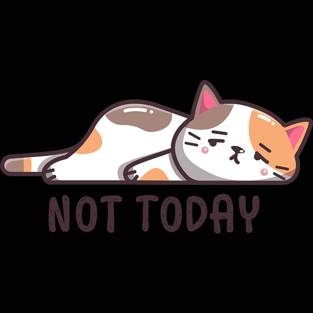 Not Today Sleeping Cat - Mens 123t Funny T-Shirt Tshirts