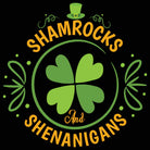 Shamrocks And Shenanigans Irish St Patricks Day Ireland - Mens 123t Funny T-Shirt Tshirts